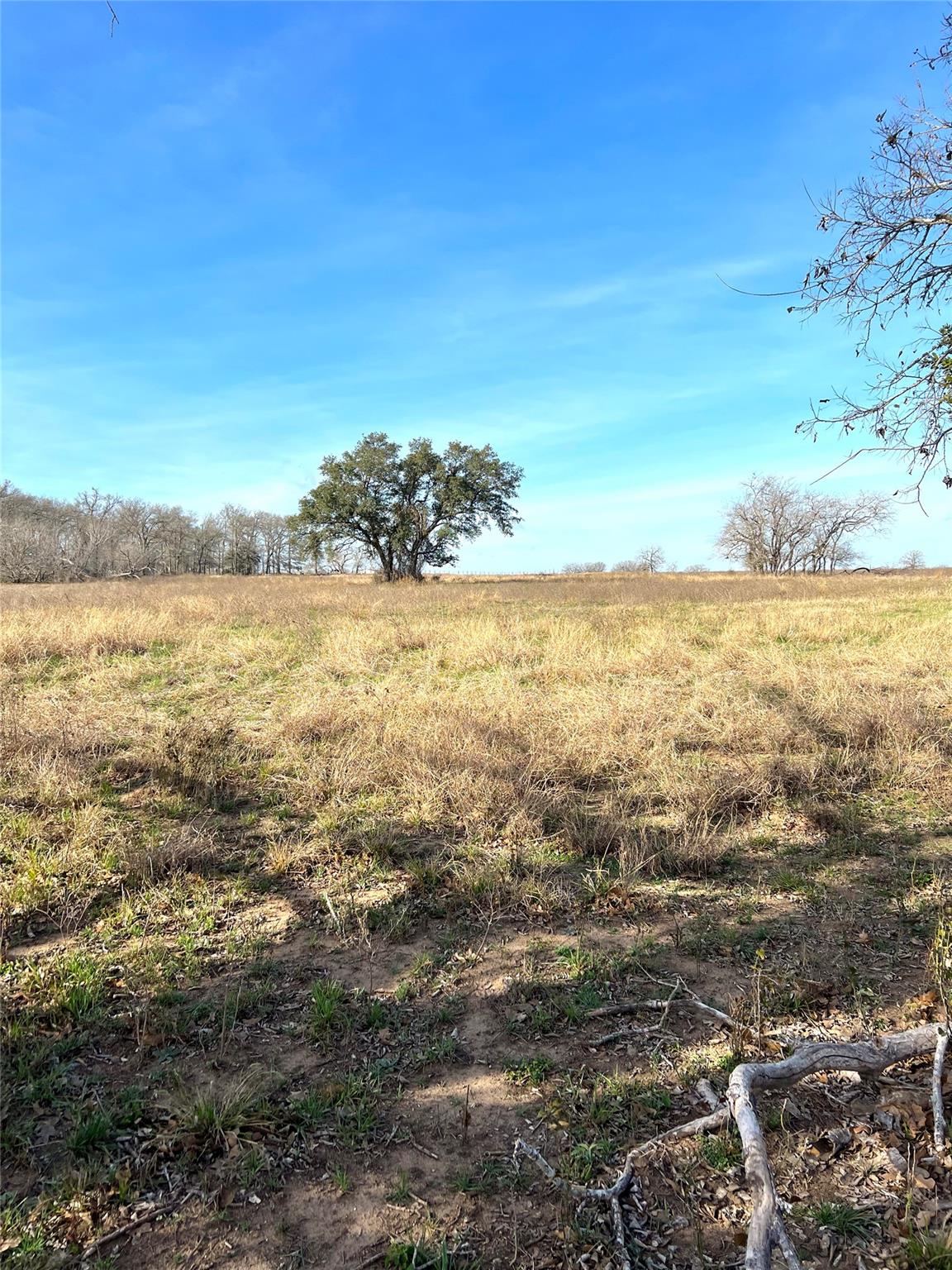 5165 Tenney Creek Rd, Luling, TX 78648