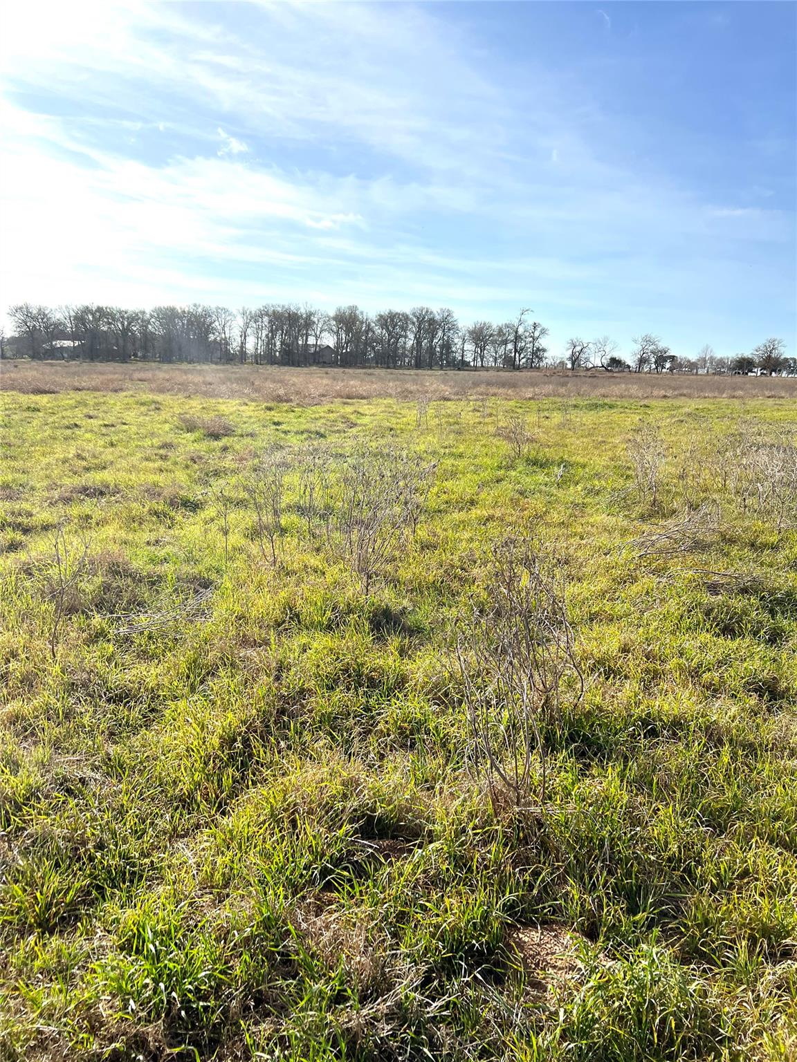 5165 Tenney Creek Rd, Luling, TX 78648