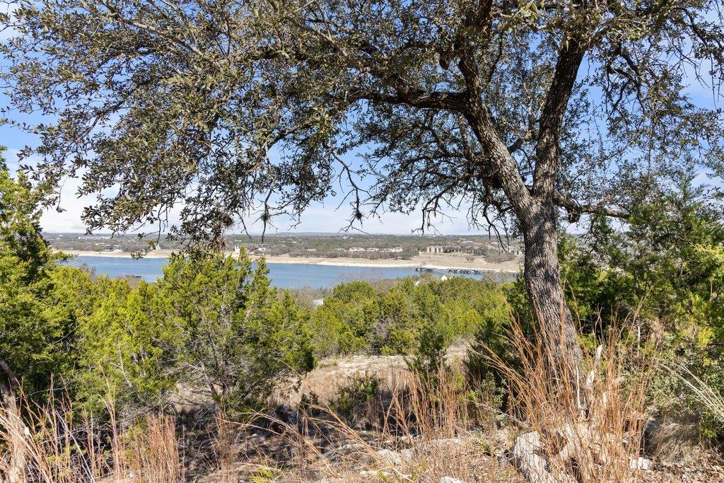 10 Thurman Bluff Dr, Spicewood, TX 78669