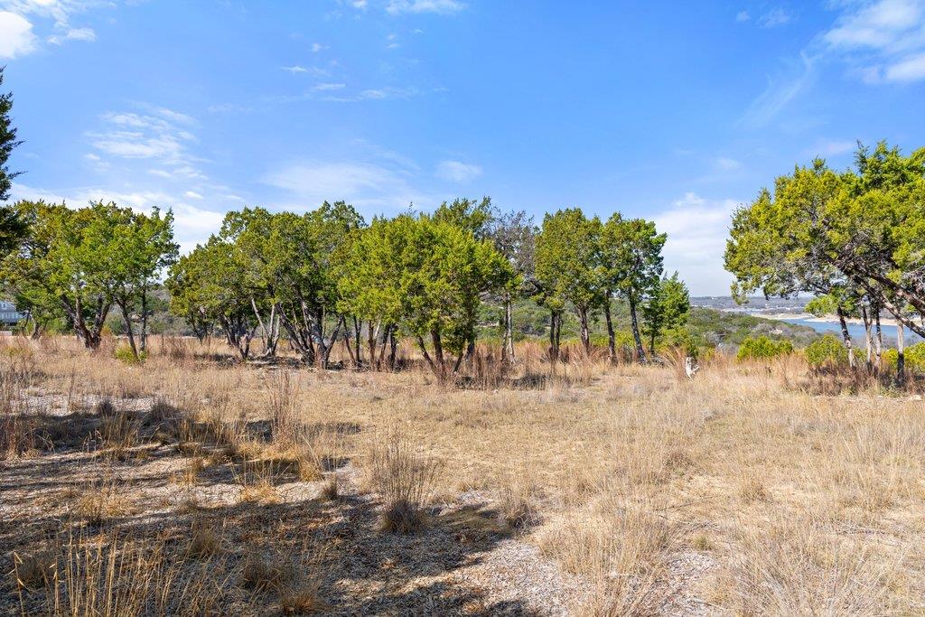 10 Thurman Bluff Dr, Spicewood, TX 78669