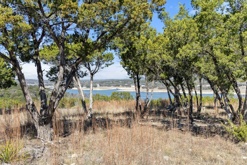 10 Thurman Bluff Dr, Spicewood, TX 78669