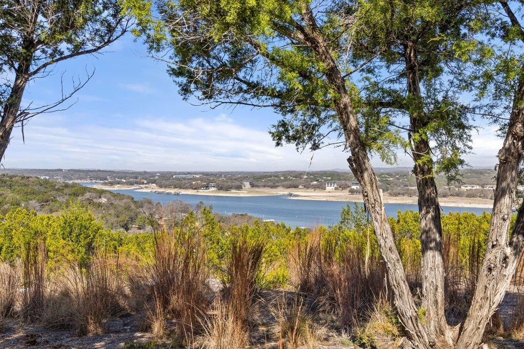 10 Thurman Bluff Dr, Spicewood, TX 78669