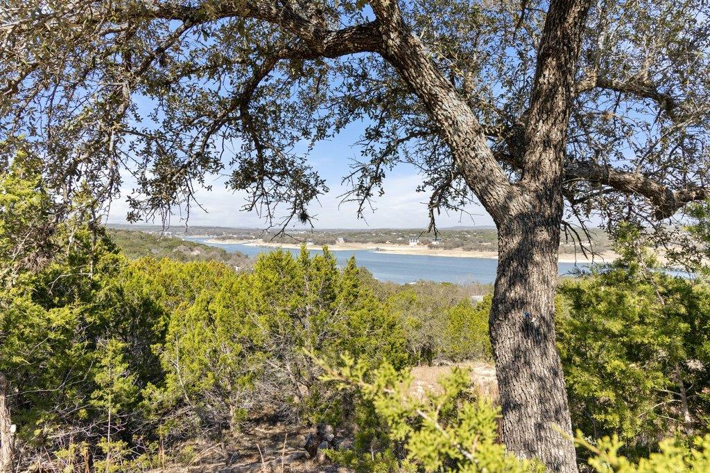 10 Thurman Bluff Dr, Spicewood, TX 78669