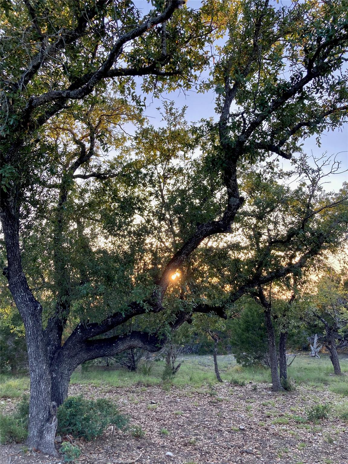 21501 Paine Ave, Lago Vista, TX 78645