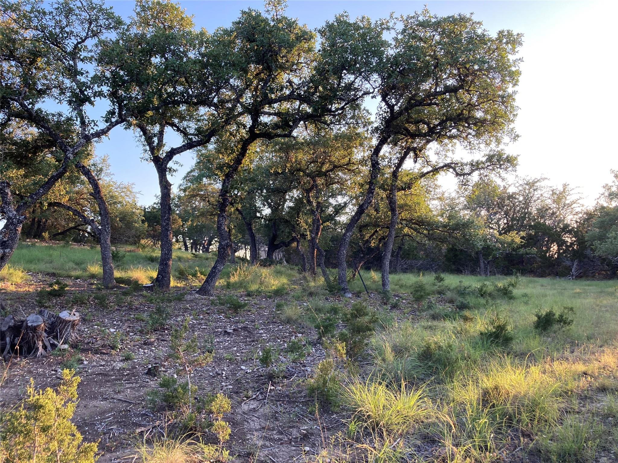 21501 Paine Ave, Lago Vista, TX 78645