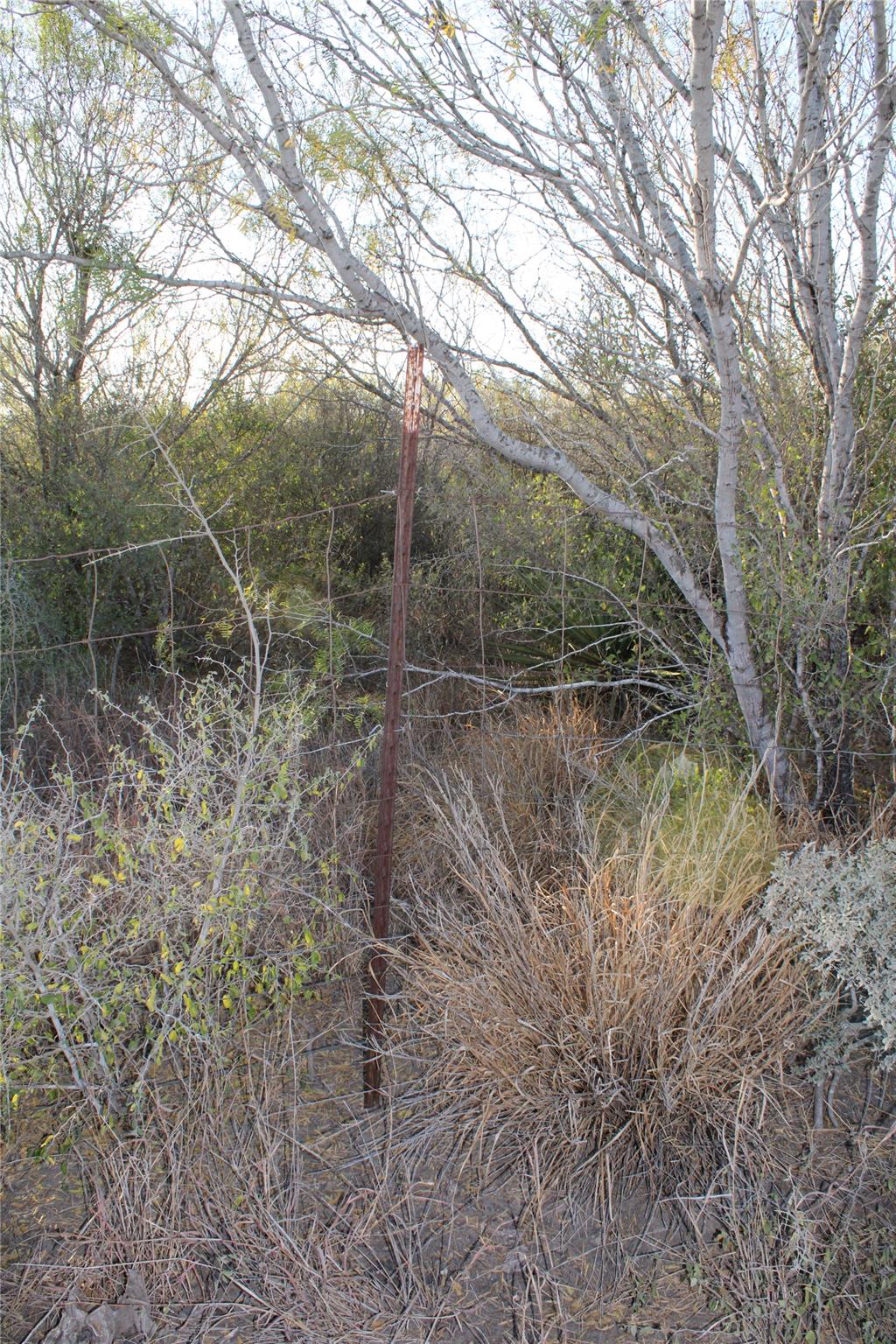 0000 CR 339, Jourdanton, TX 78026