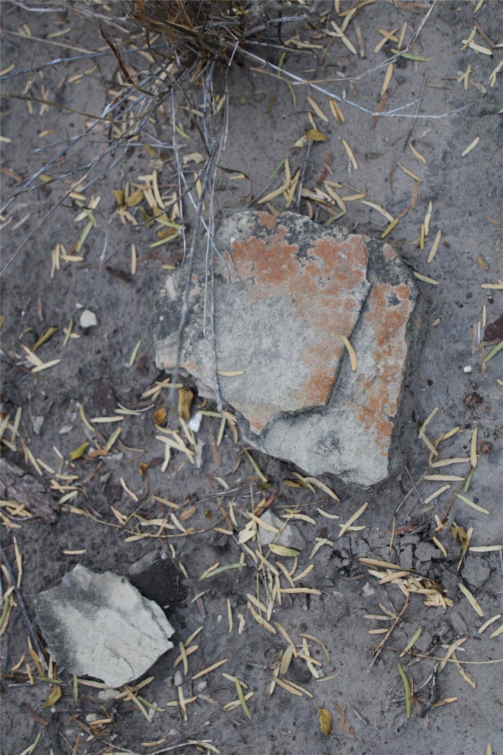 0000 CR 339, Jourdanton, TX 78026