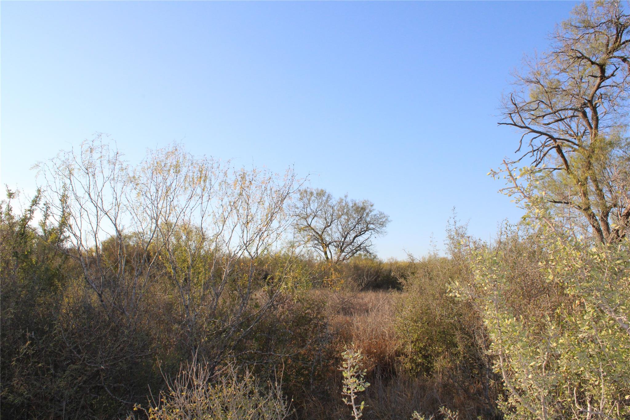 0000 CR 339, Jourdanton, TX 78026