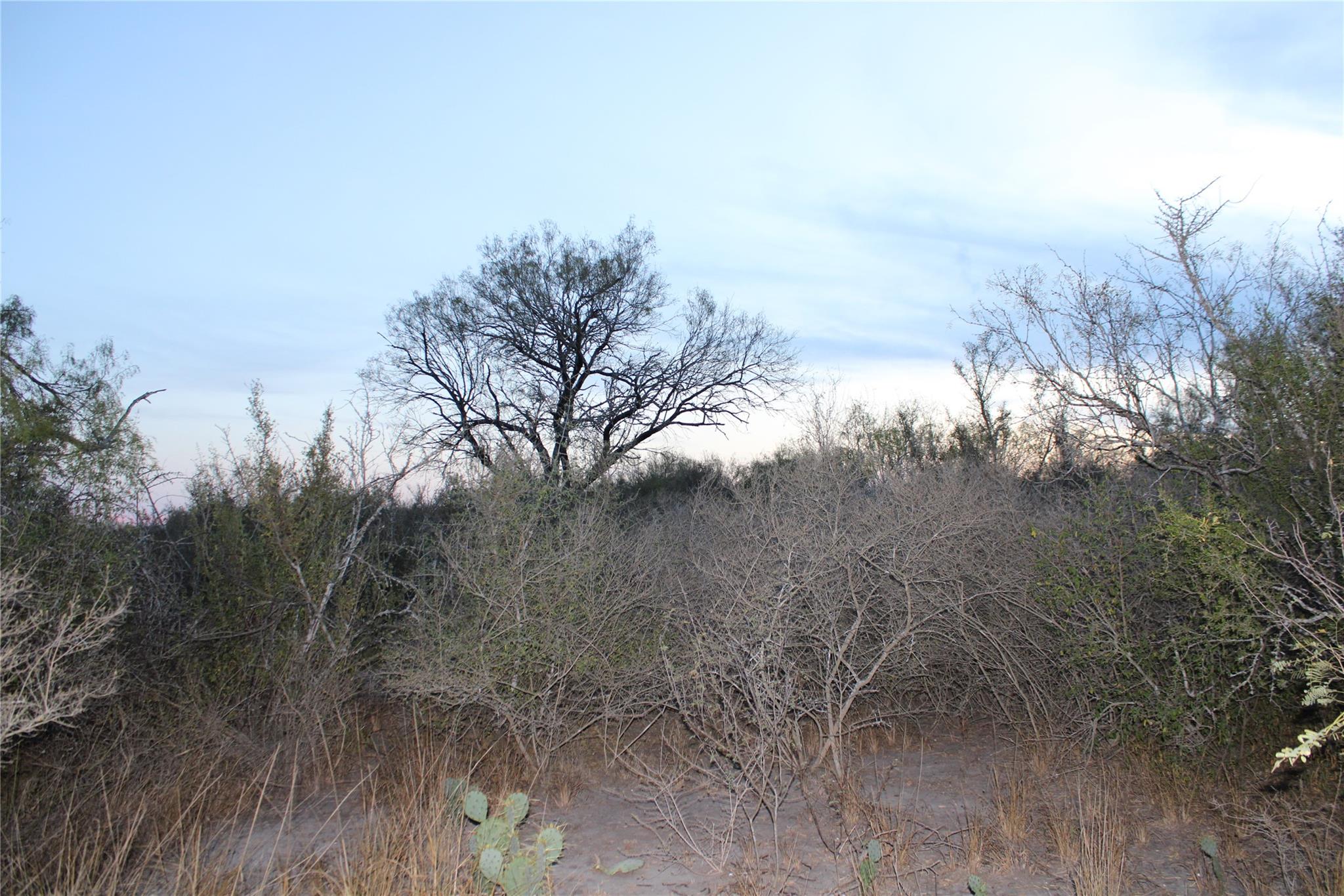 0000 CR 339, Jourdanton, TX 78026