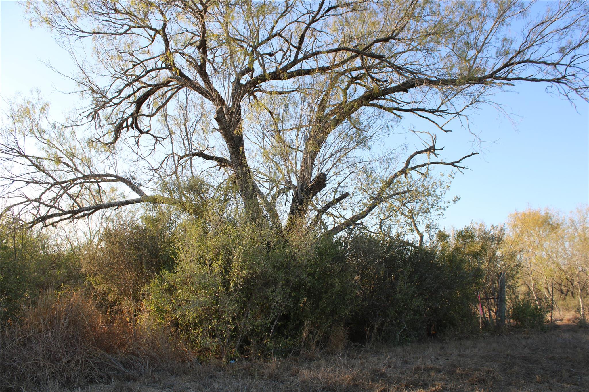 0000 CR 339, Jourdanton, TX 78026