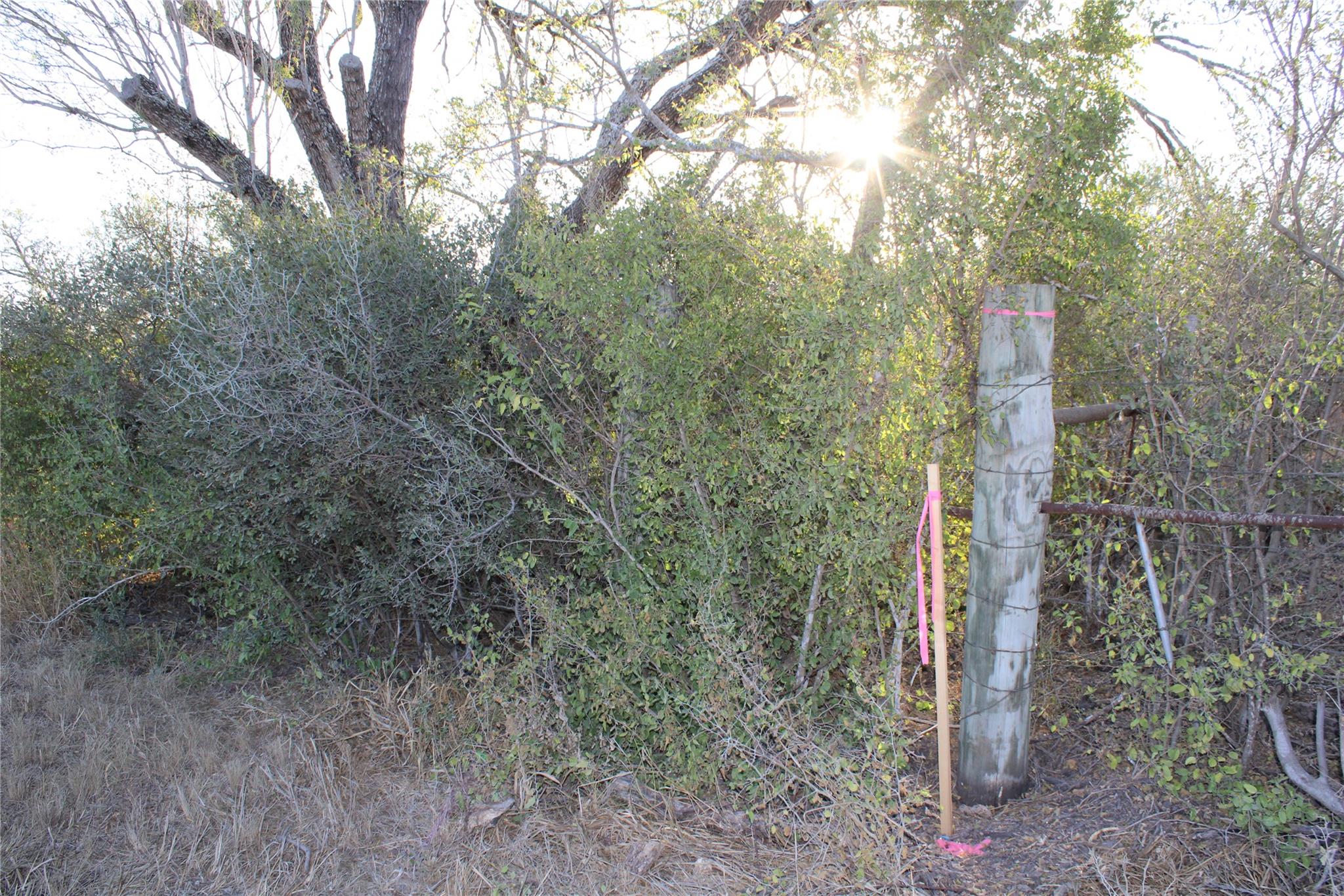 0000 CR 339, Jourdanton, TX 78026