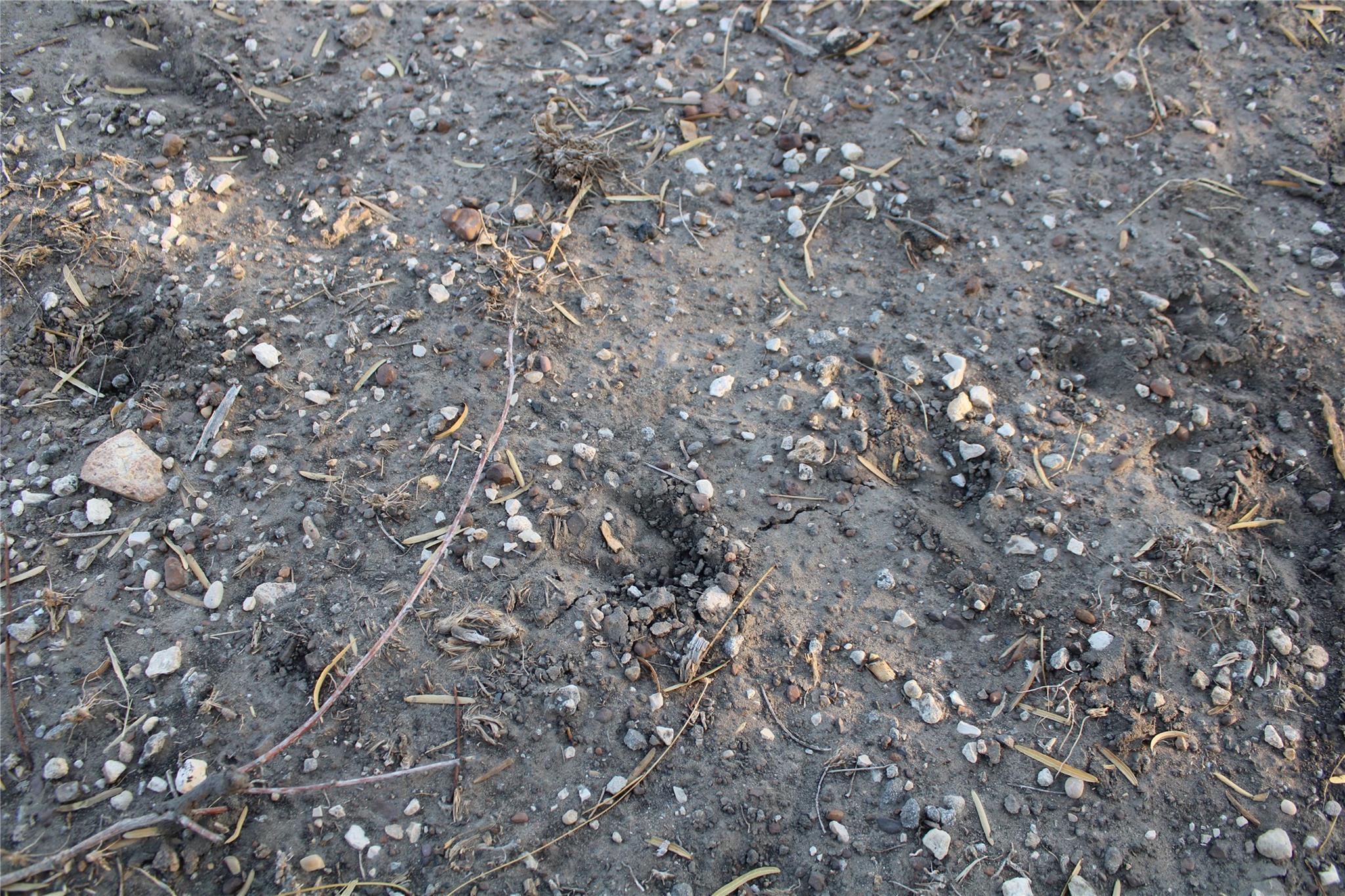 0000 CR 339, Jourdanton, TX 78026