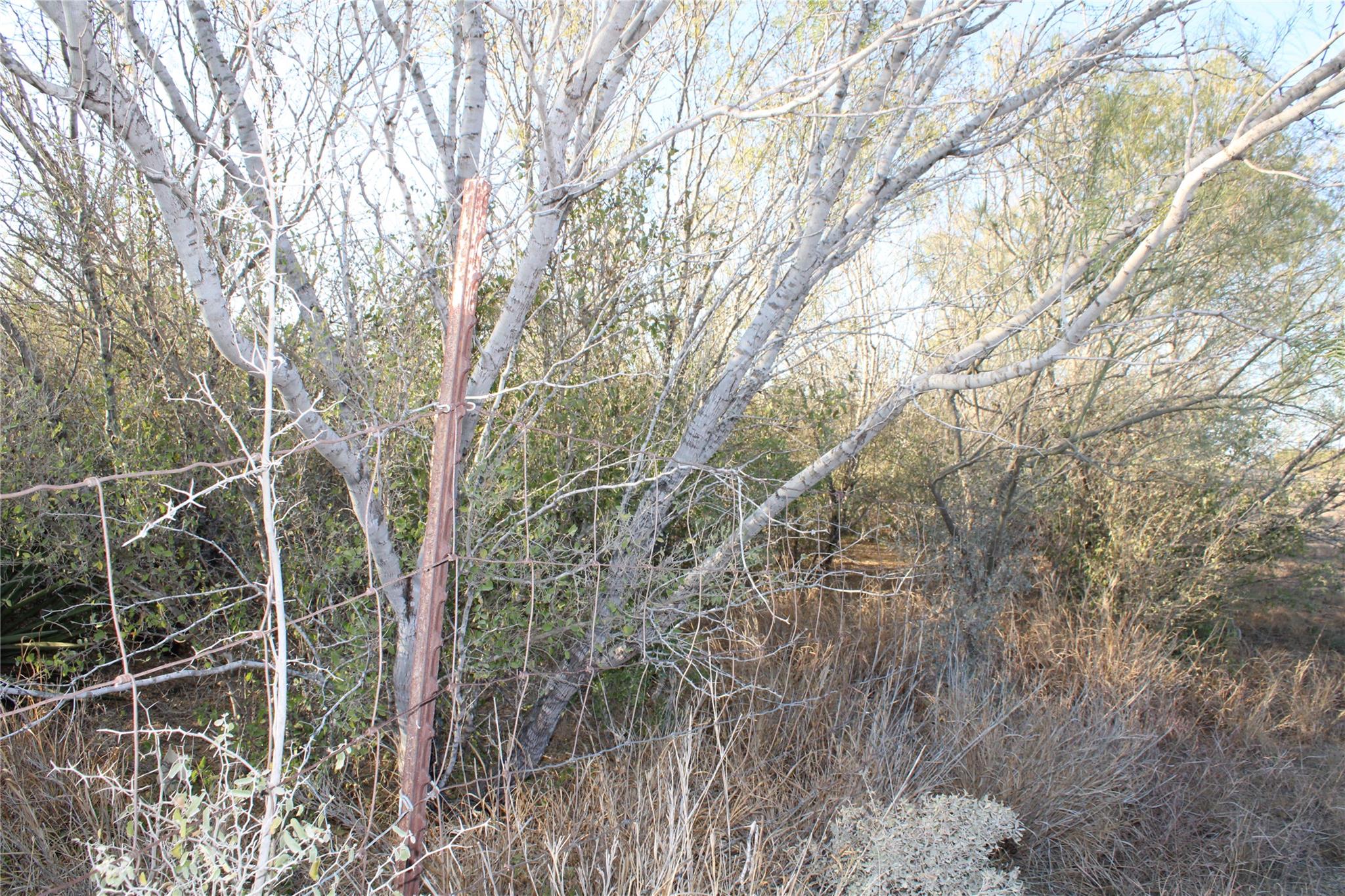 0000 CR 339, Jourdanton, TX 78026