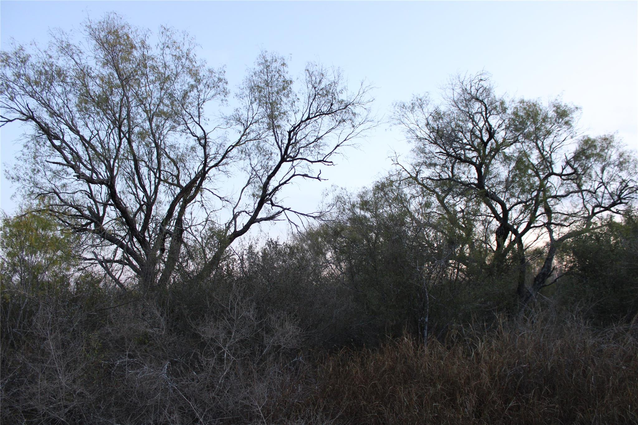 0000 CR 339, Jourdanton, TX 78026