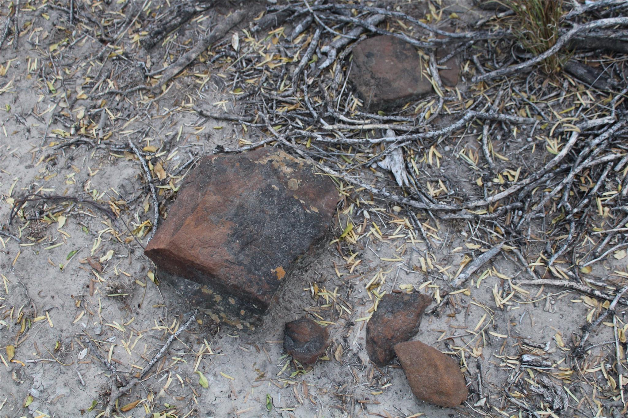 0000 CR 339, Jourdanton, TX 78026