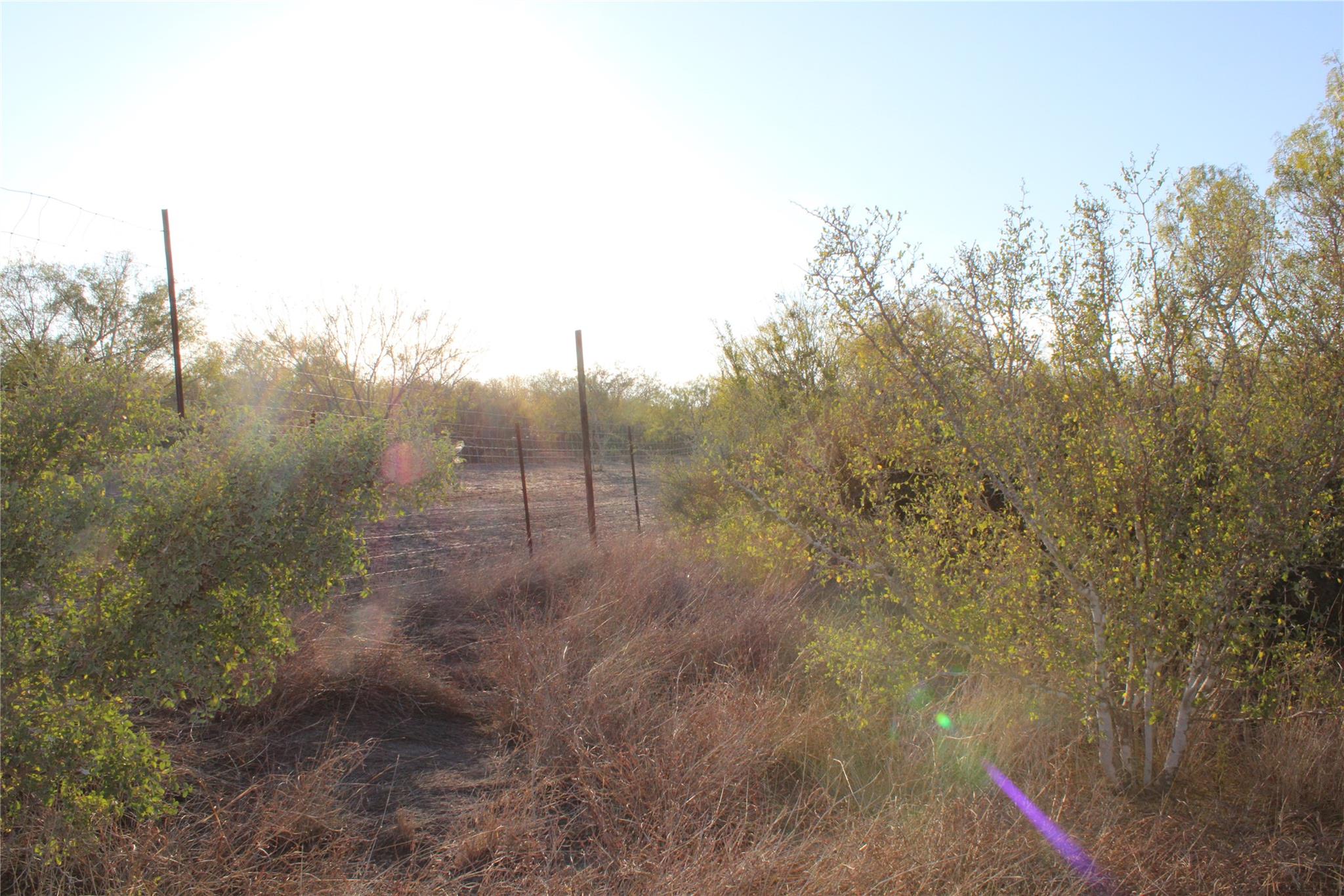 0000 CR 339, Jourdanton, TX 78026