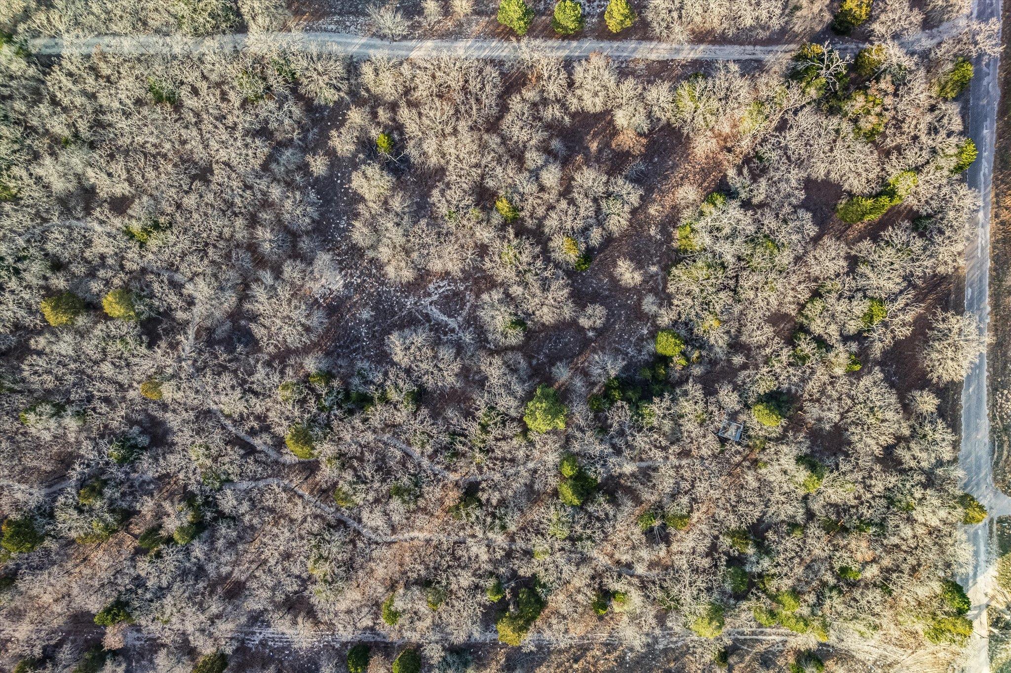 TBD Christensen Rd, Elgin, TX 78621