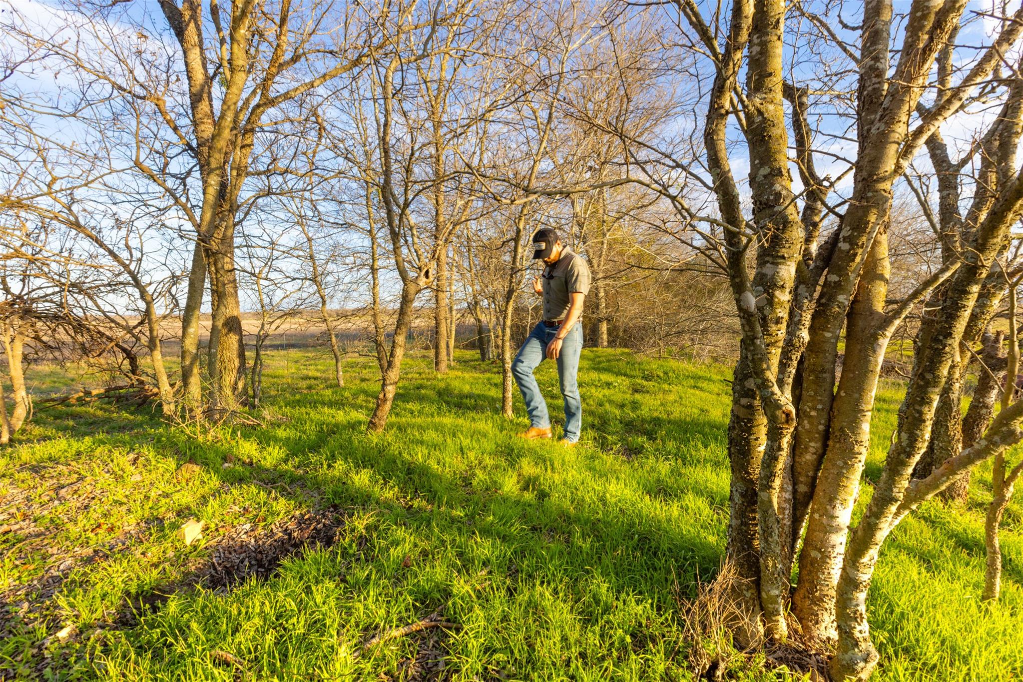 3622 N Fm 486, Thorndale, TX 76577