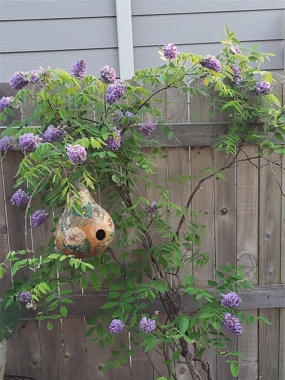 2071 Wind Chime Way, New Braunfels, TX 78130