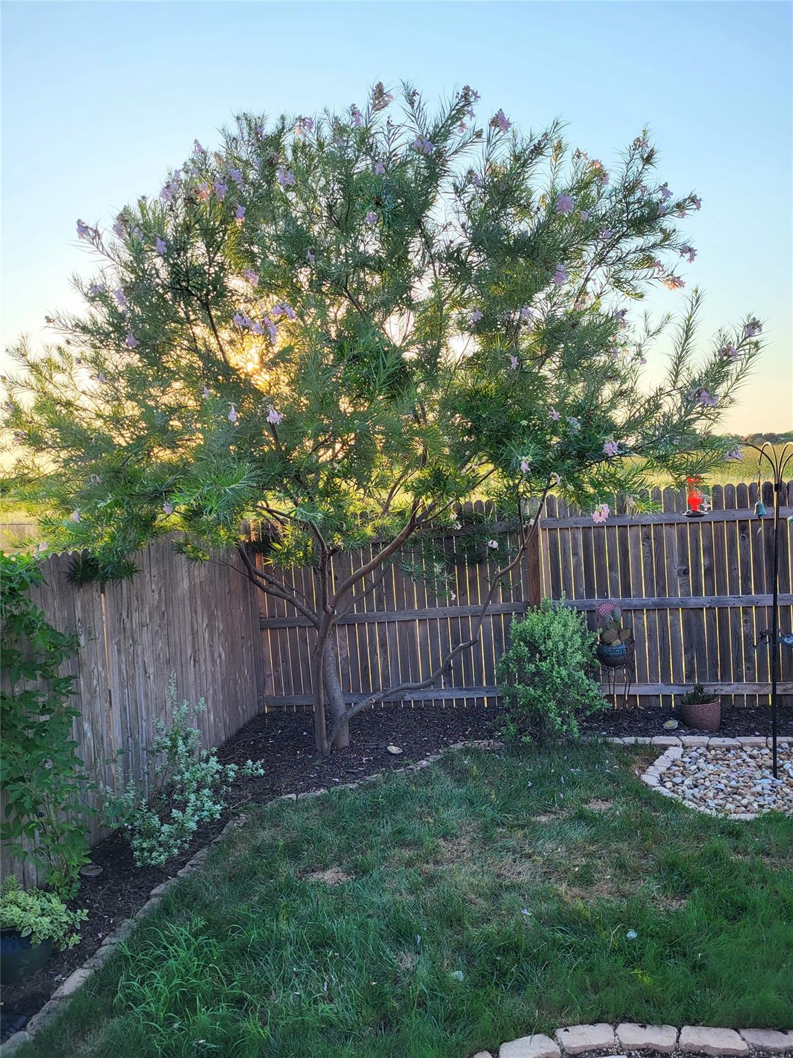 2071 Wind Chime Way, New Braunfels, TX 78130