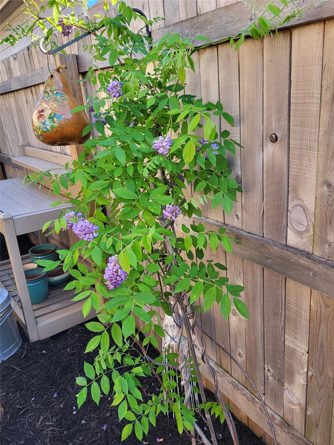 2071 Wind Chime Way, New Braunfels, TX 78130