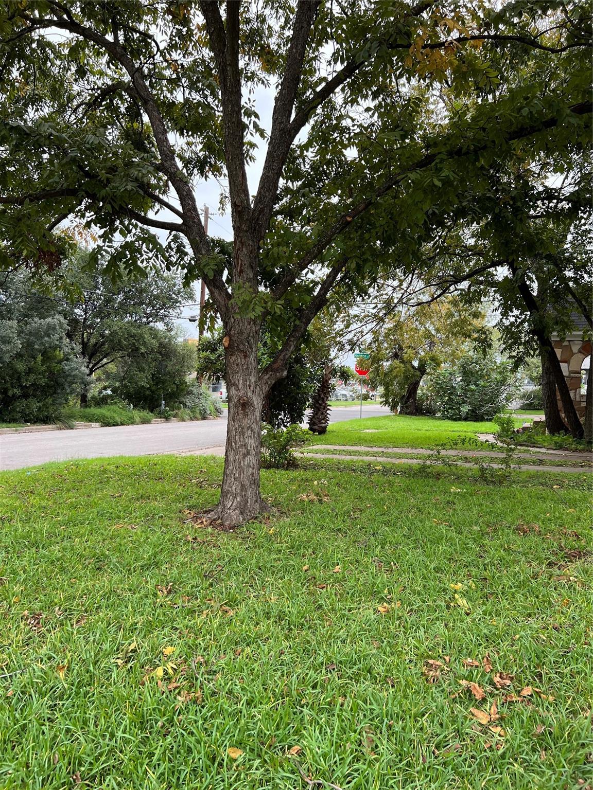 941 E 52nd St, Austin, TX 78751