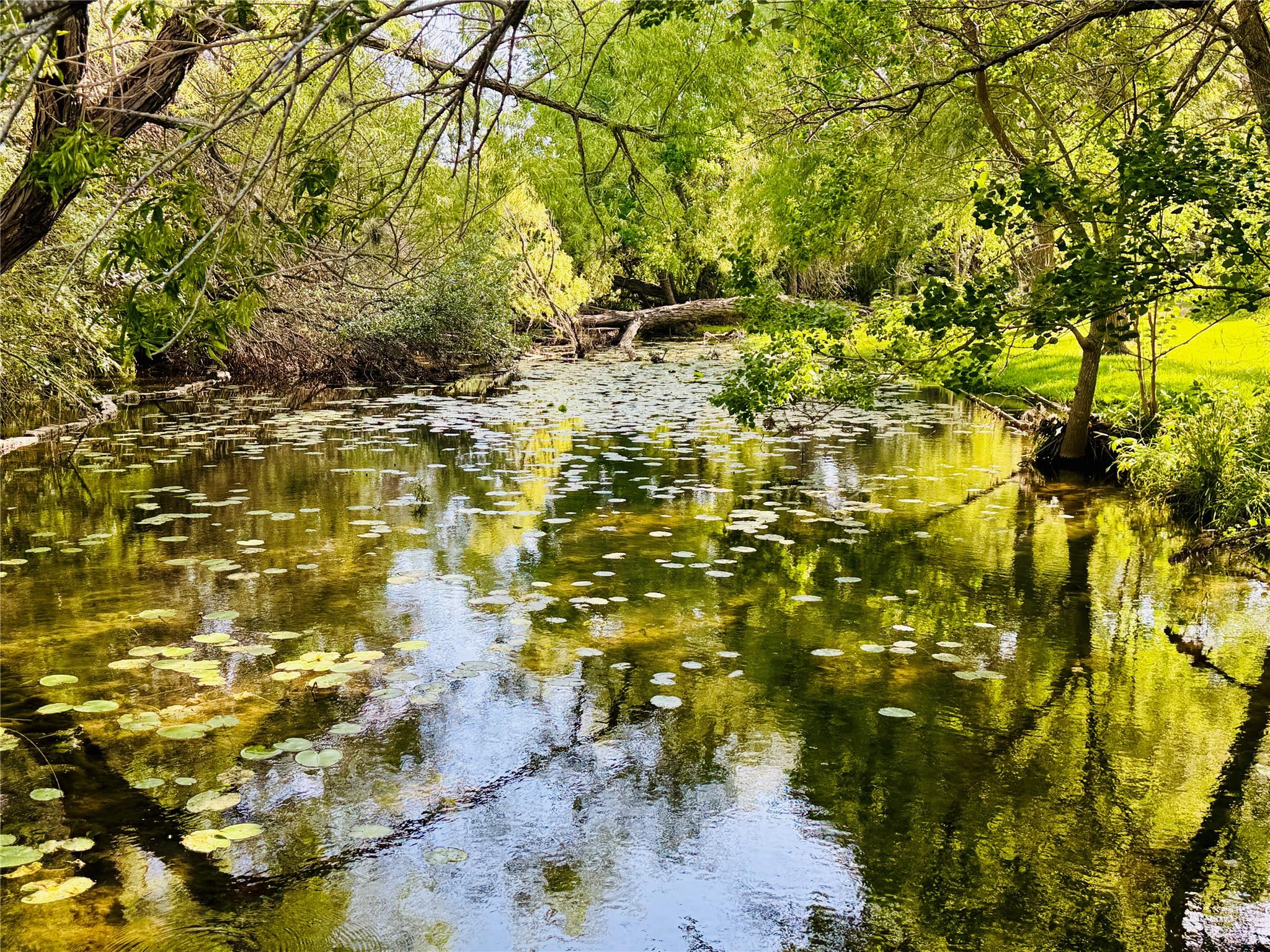 208 Sailors Run, Lakeway, TX 78734