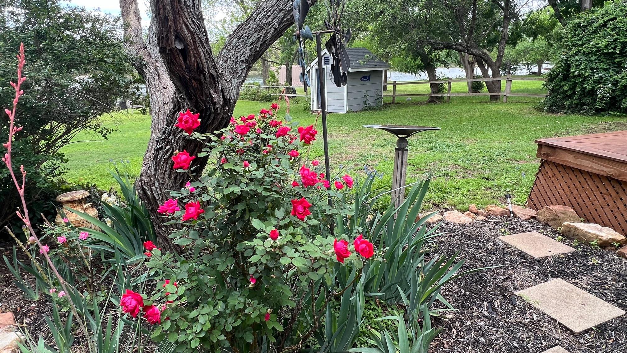 318 Clear Creek Dr, Burnet, TX 78611