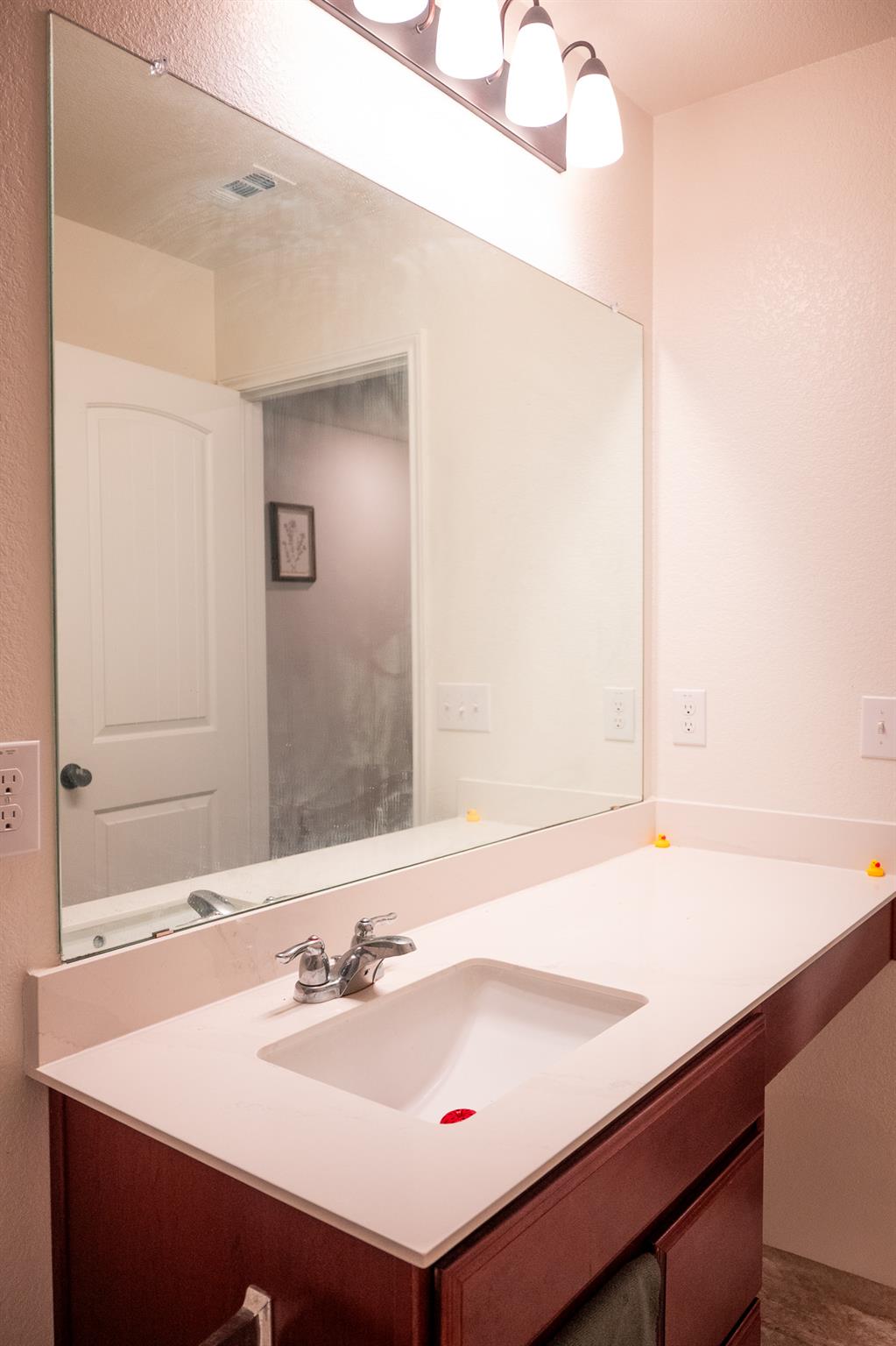 13808 Eleanor Roosevelt St, Manor, TX 78653