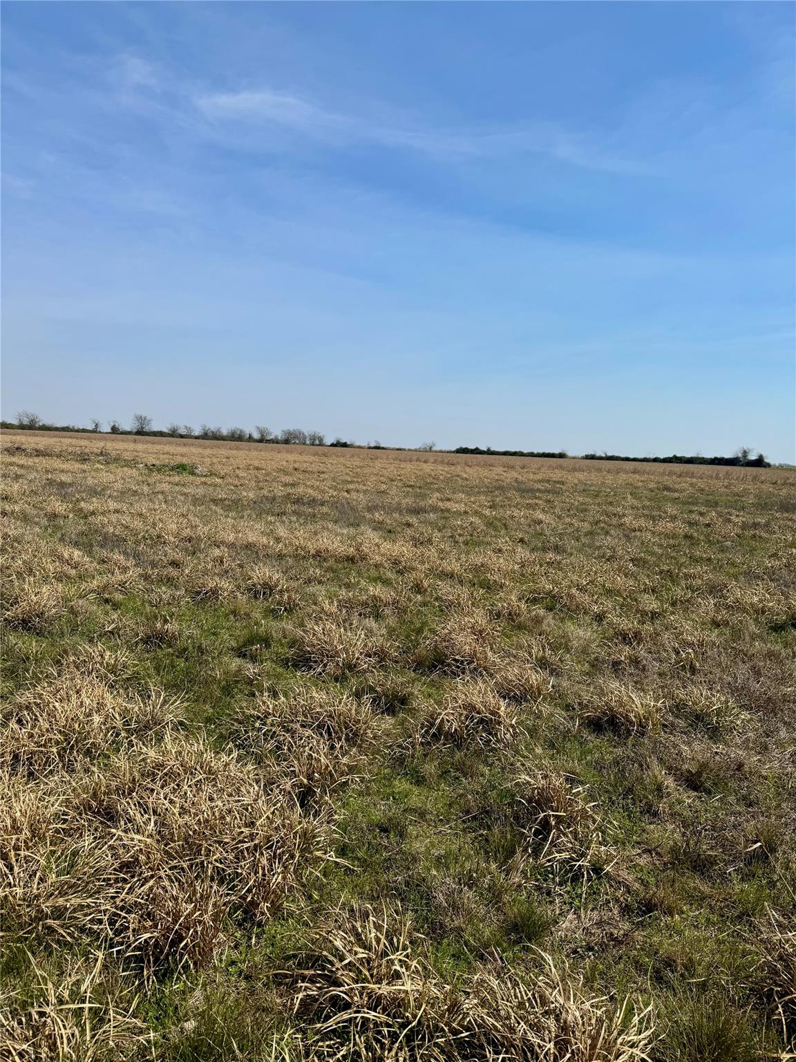 1359 McDonald Rd, Eagle Lake, TX 77434