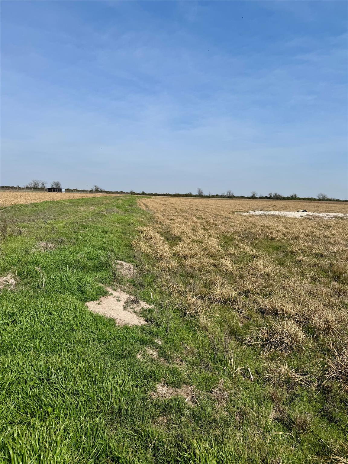 1359 McDonald Rd, Eagle Lake, TX 77434