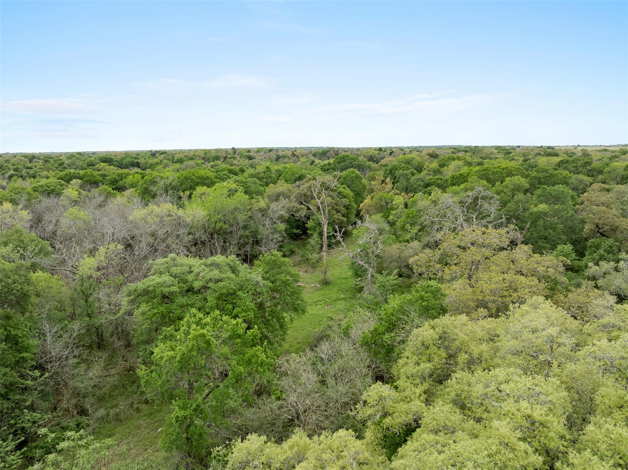 TBD County Road 433, Dime Box, TX 77853