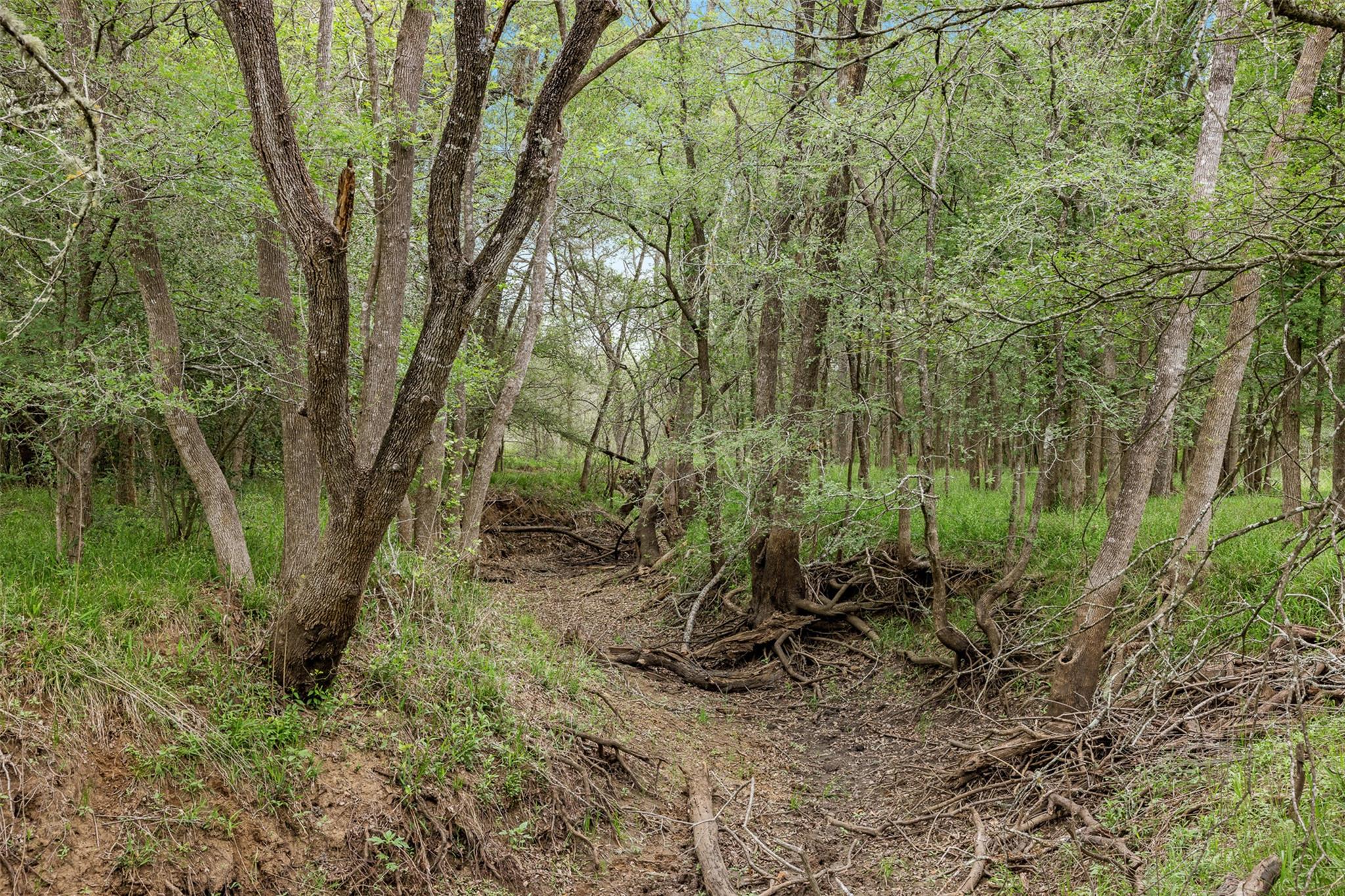 TBD County Road 433, Dime Box, TX 77853