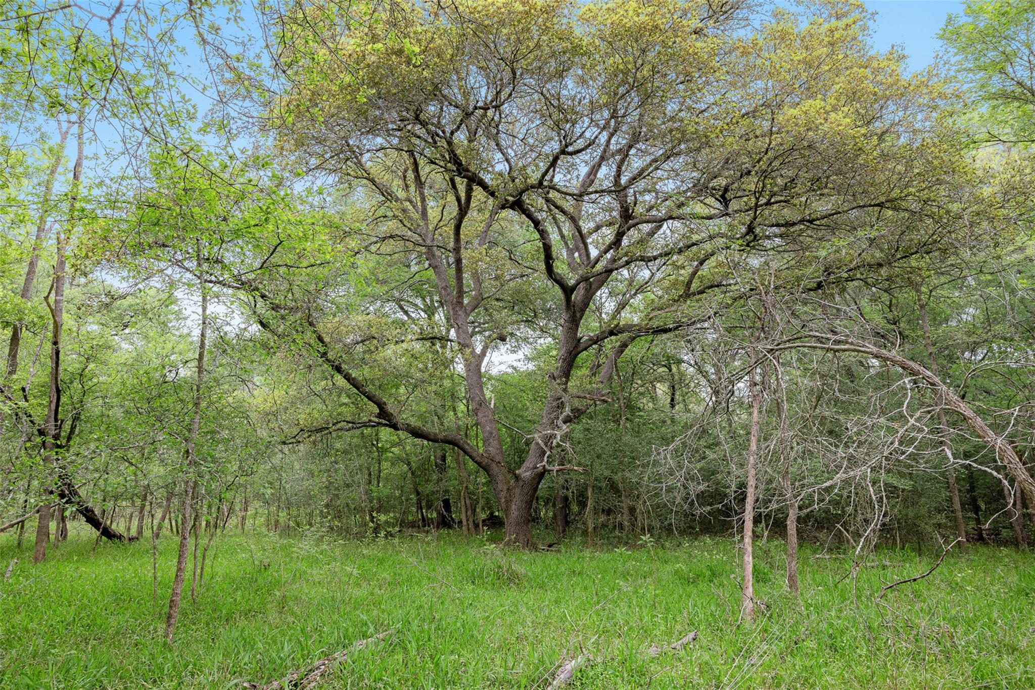 TBD County Road 433, Dime Box, TX 77853