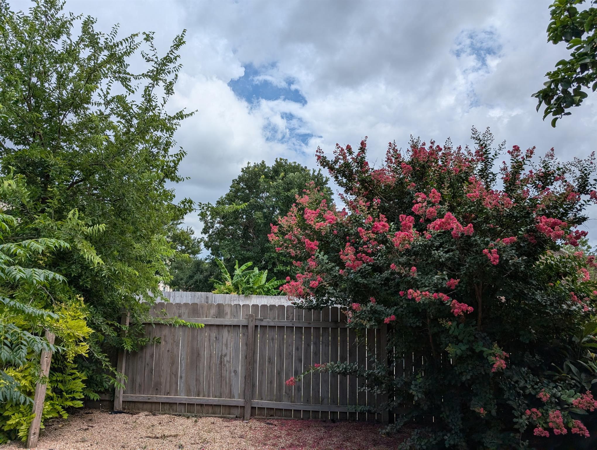 2418 Elkhorn Ranch Rd, Leander, TX 78641