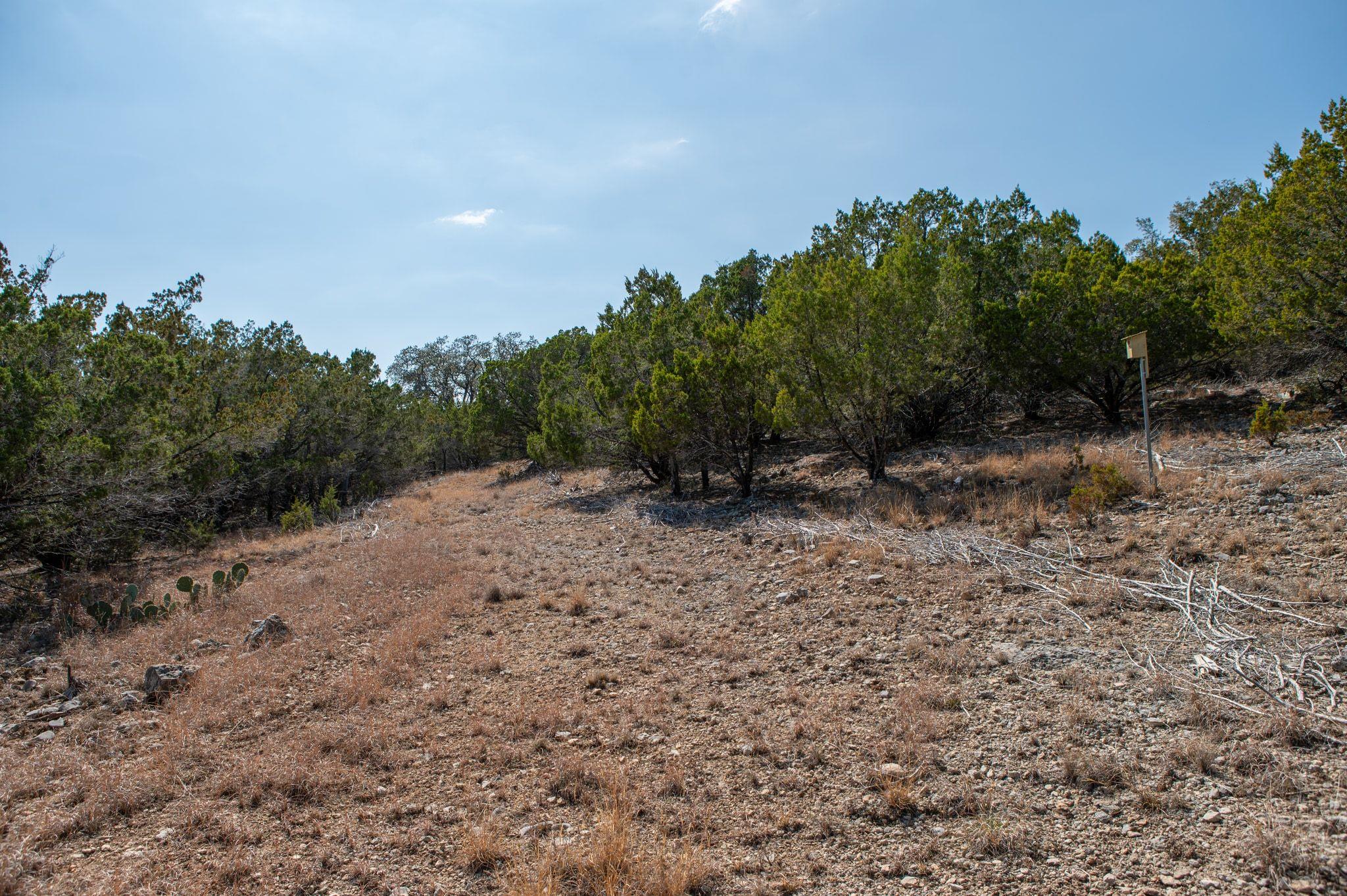 17831 W Reed Park Rd, Lago Vista, TX 78645