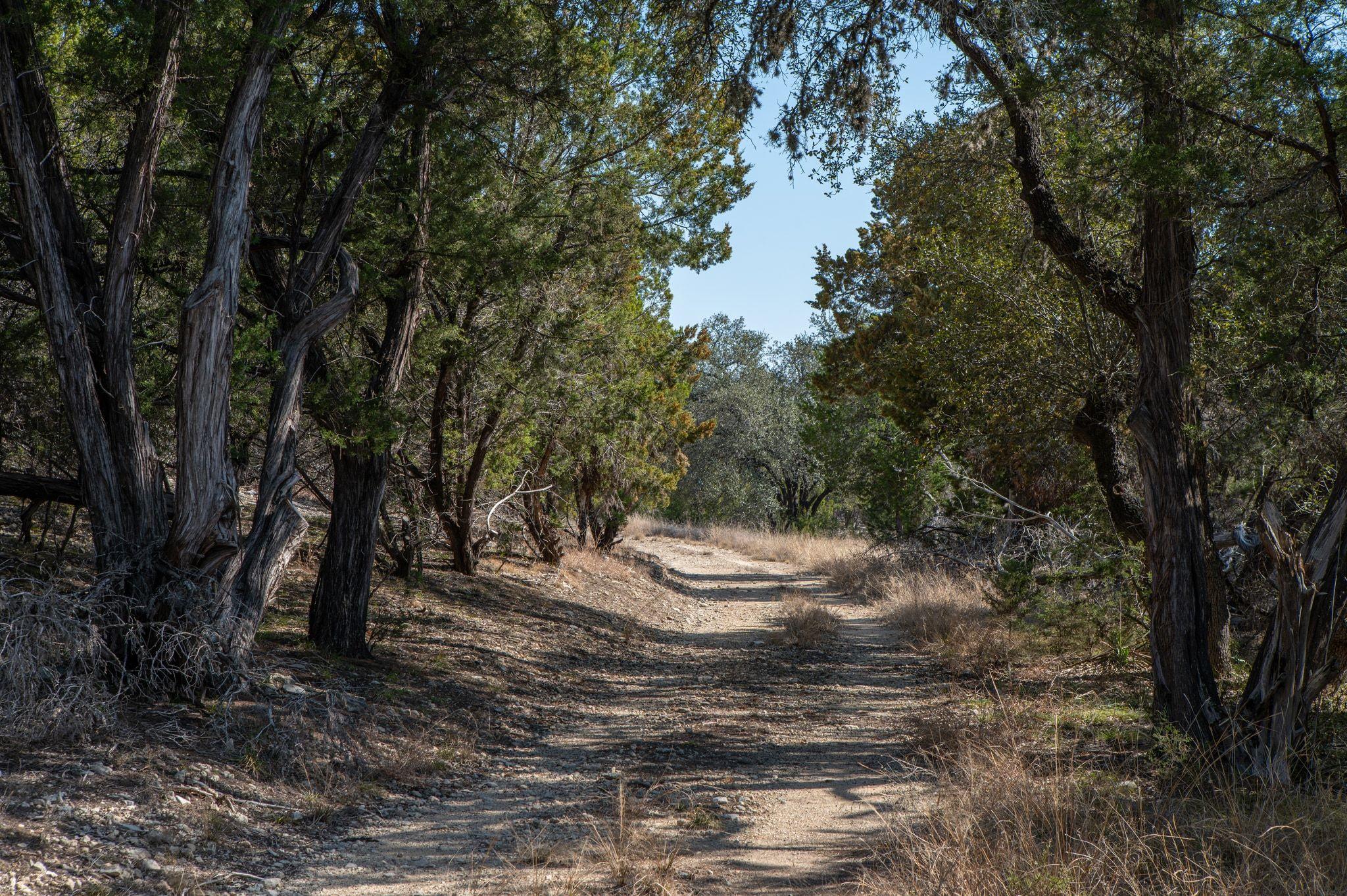 17831 W Reed Park Rd, Lago Vista, TX 78645