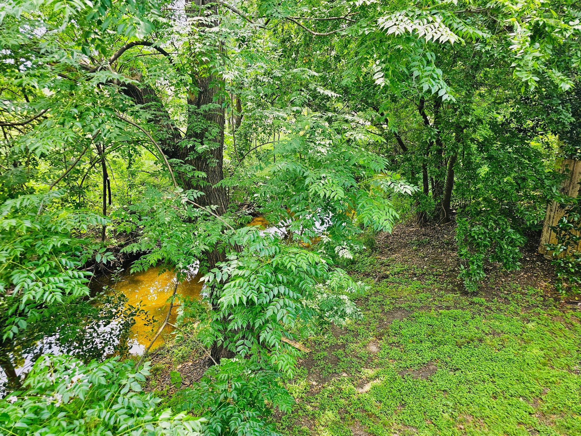 5107 Leralynn St # 304, Austin, TX 78751