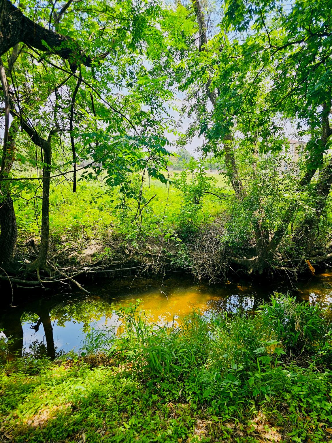 5107 Leralynn St # 304, Austin, TX 78751