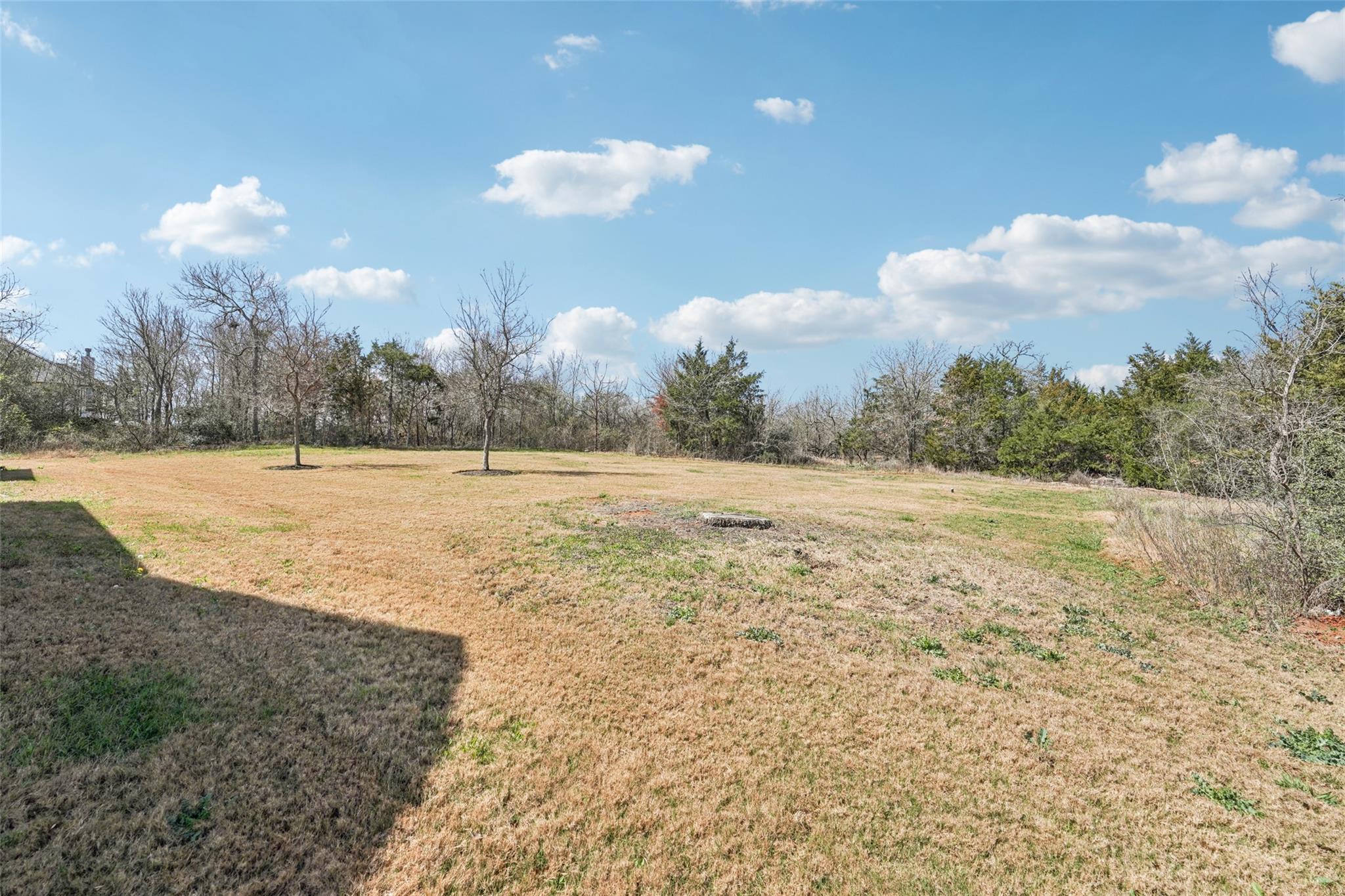 112 Double Eagle Ranch Dr, Cedar Creek, TX 78612