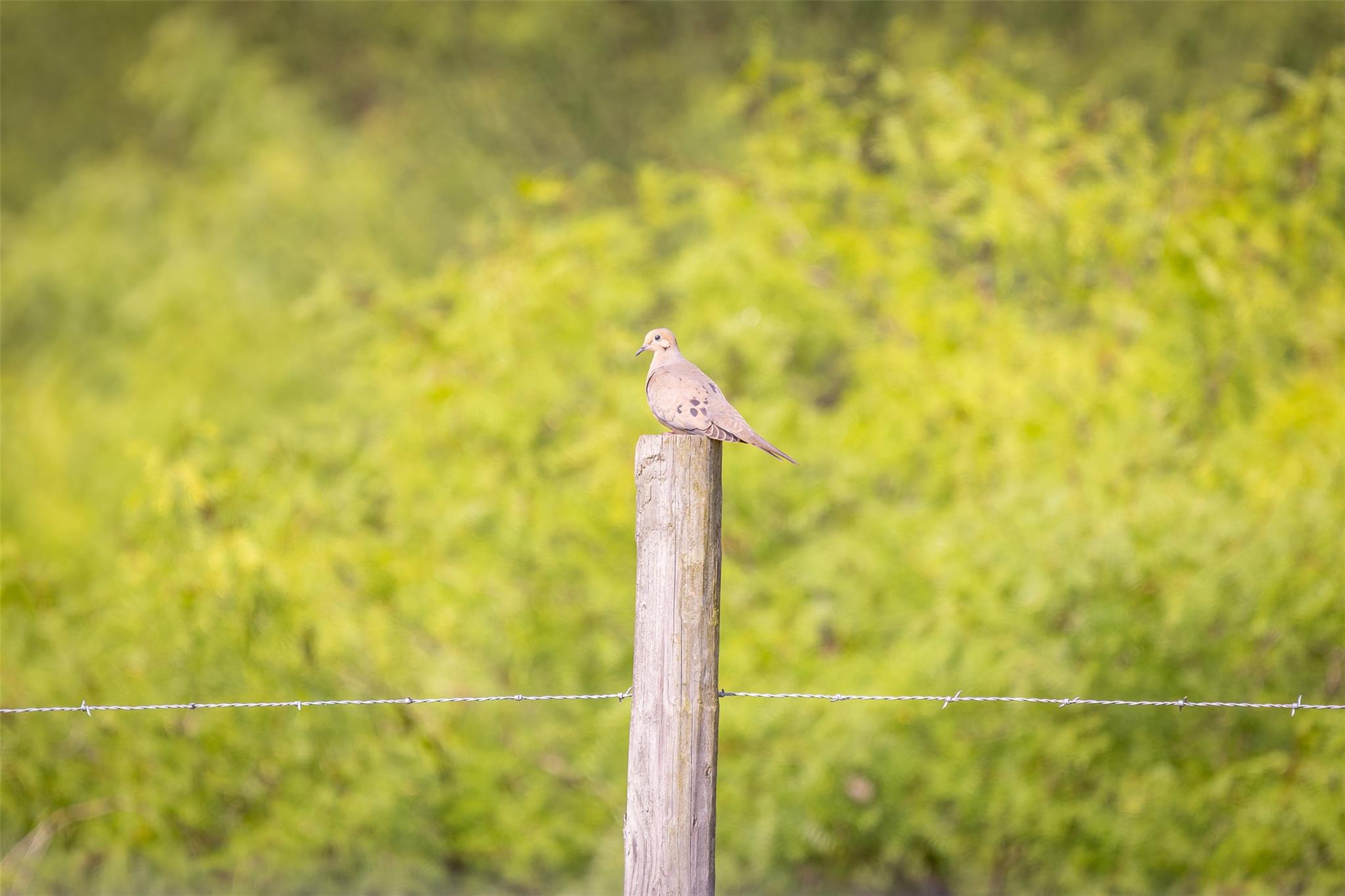 TBD US Highway 77 S, Giddings, TX 78942