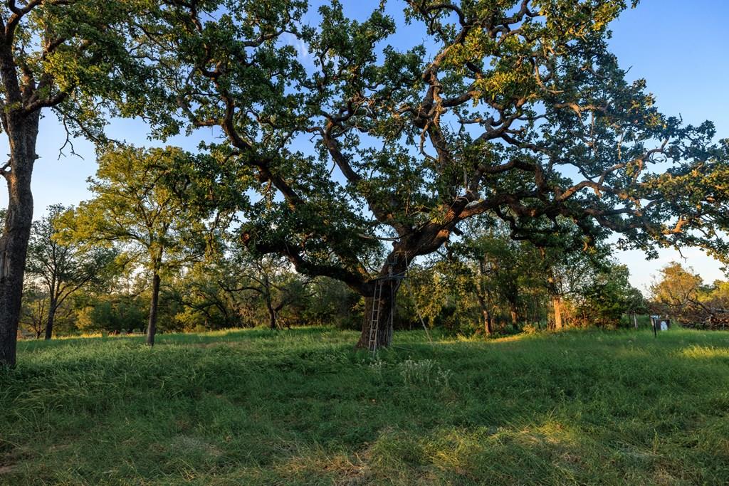 10030 E Us Highway 290 Highway, Fredericksburg, TX 78624