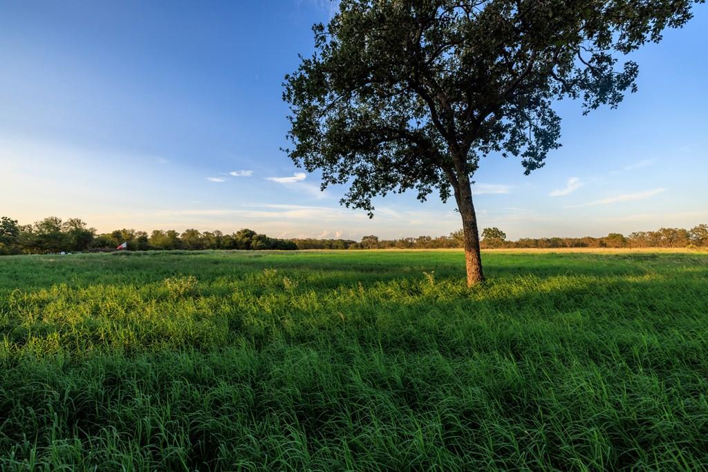 10030 E Us Highway 290 Highway, Fredericksburg, TX 78624