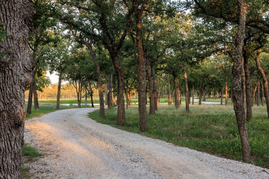 10030 E Us Highway 290 Highway, Fredericksburg, TX 78624