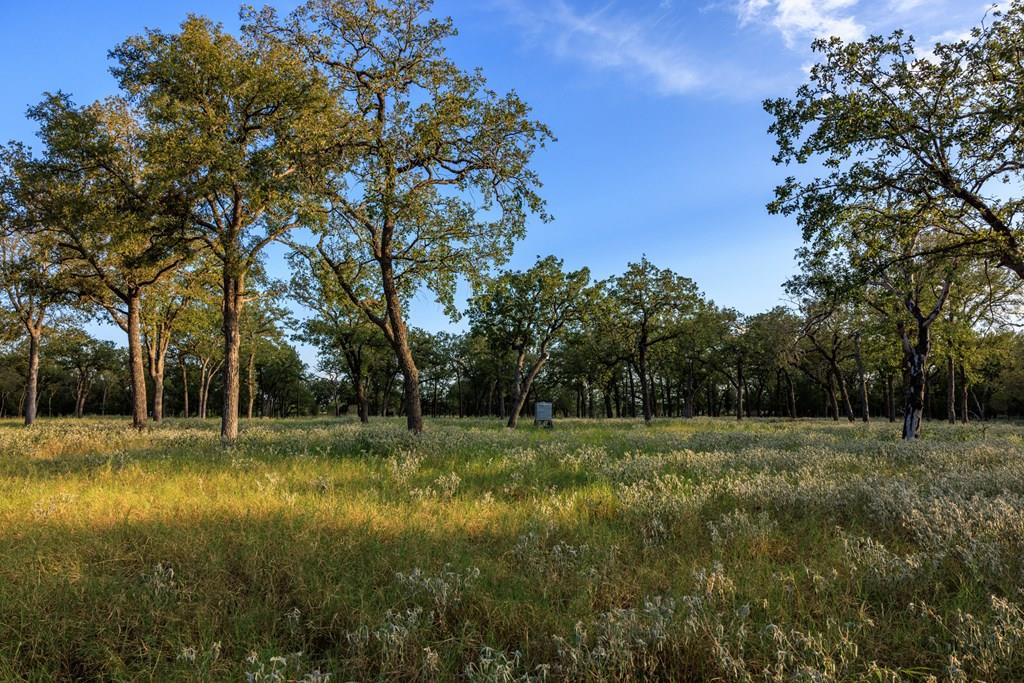 10030 E Us Highway 290 Highway, Fredericksburg, TX 78624