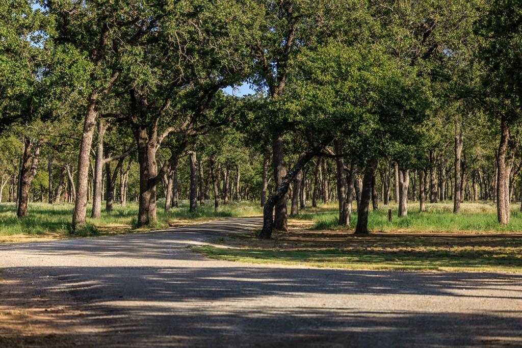 10030 E Us Highway 290 Highway, Fredericksburg, TX 78624