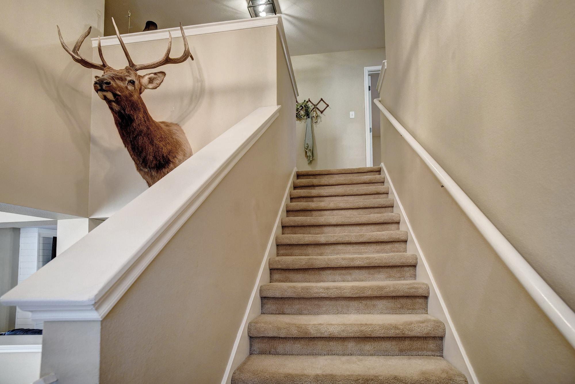 104 Trapper Trl, Bastrop, TX 78602