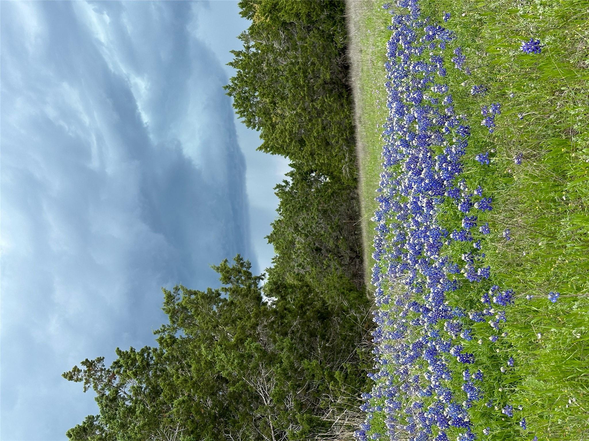 1041 Hidden Hills Hls, Dripping Springs, TX 78620