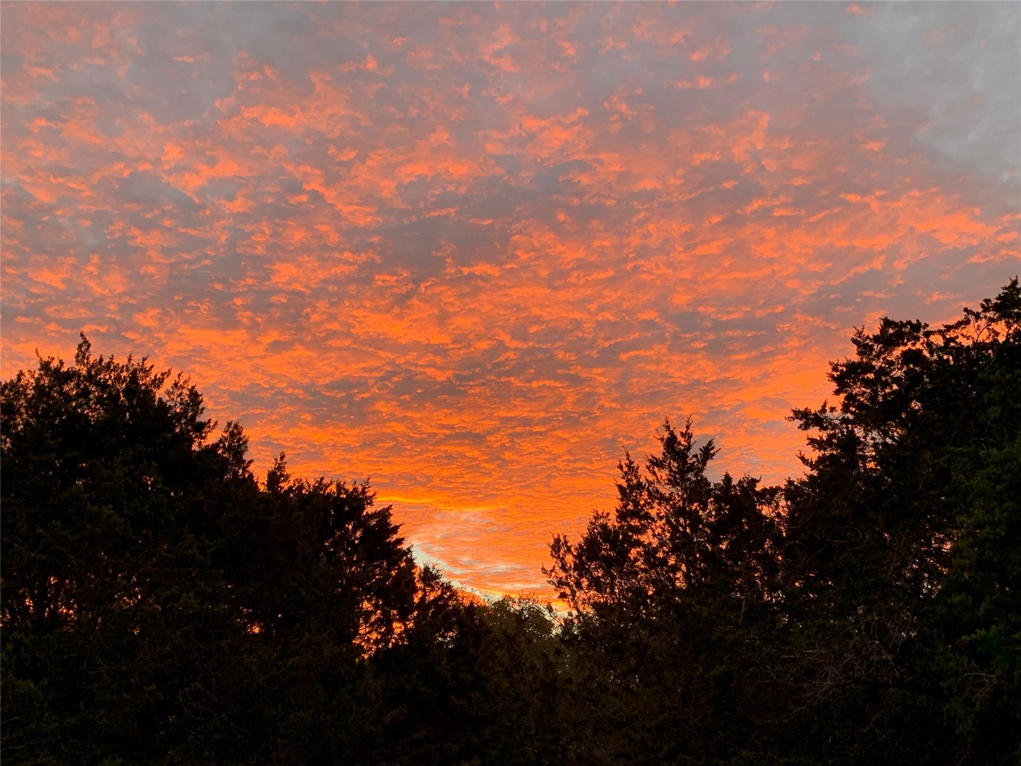 1041 Hidden Hills Hls, Dripping Springs, TX 78620