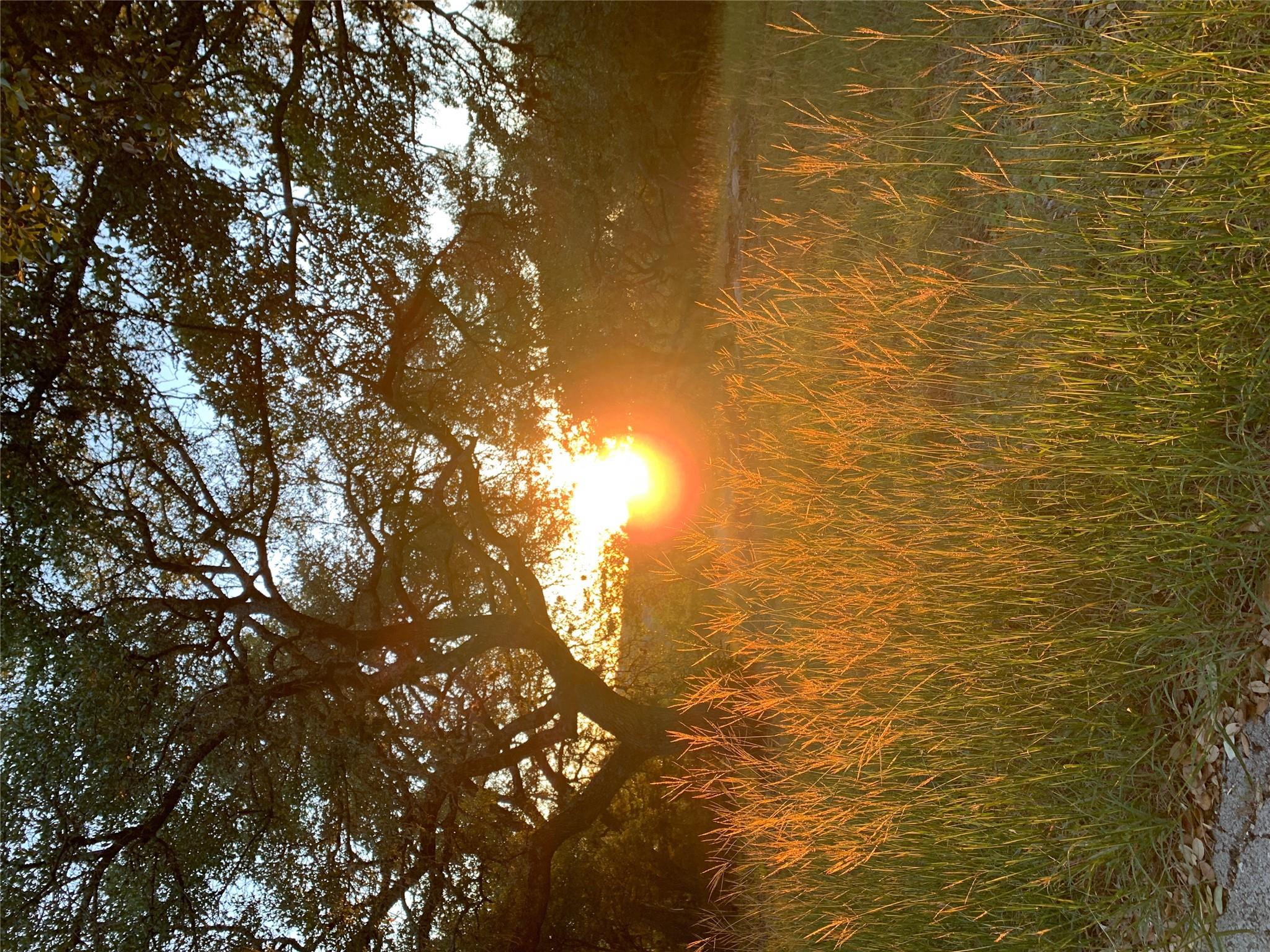 1041 Hidden Hills Hls, Dripping Springs, TX 78620